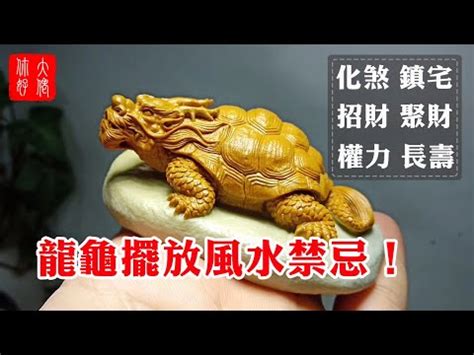 龍龜淨化|【龍龜淨化】龍龜淨化招財！掌握風水妙招，提升運勢 – 每日新聞。